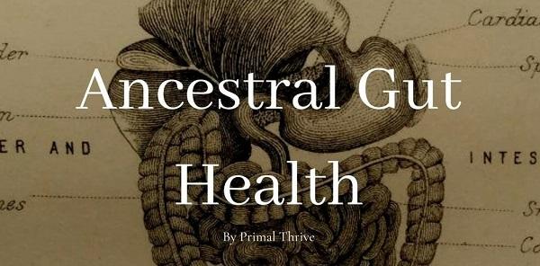 ancestral-gut-health-primalthrive
