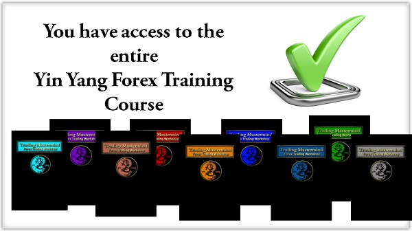 yin-yang-forex-training-program-trading-mastermind