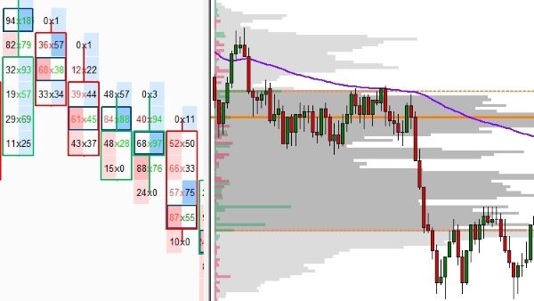 price-action-volume-trader-day-trading-with-volume-profile-orderflow