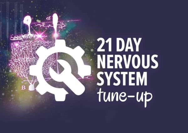 21-day-nervous-system-tune-up-irene-lyon