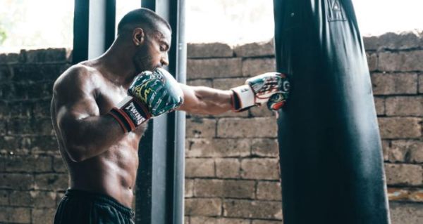 library-of-adonis-hamza