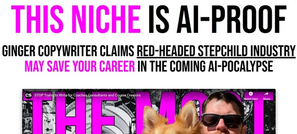 john-caprani-local-business-micro-agency